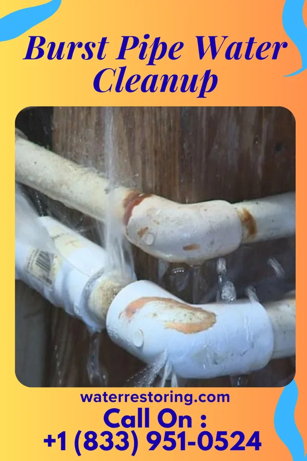 Burst Pipe Water Cleanup in Brightwaters, NY