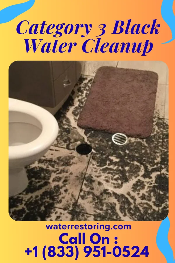 Category 3 Black Water Cleanup in Brightwaters, NY