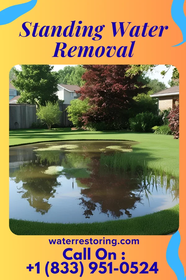 Standing Water Removal in Brightwaters, NY